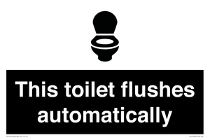 This toilet flushes automatically